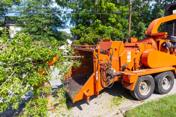 Best Tree Pruning Services  in Farmington, IL